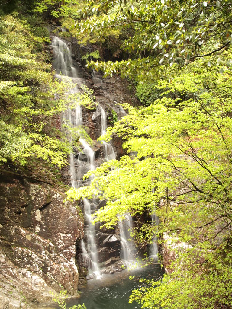 落ちる水