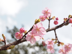 晴れ間に