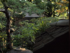 長町武家屋敷跡　野村家