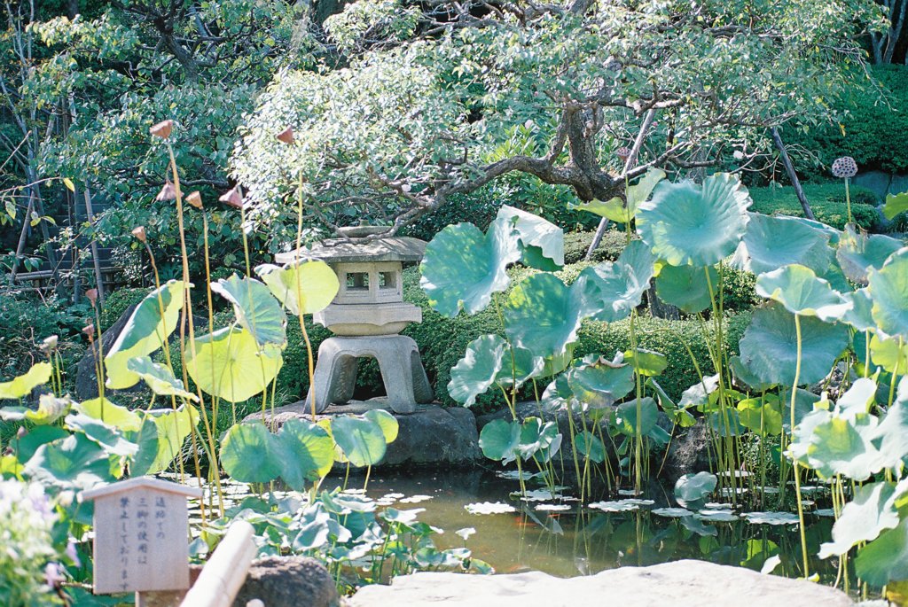 長谷寺
