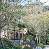 鎌倉　長谷寺