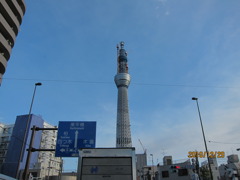 IMG_0658