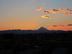 IMG_0694
