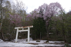 旧万字山神社