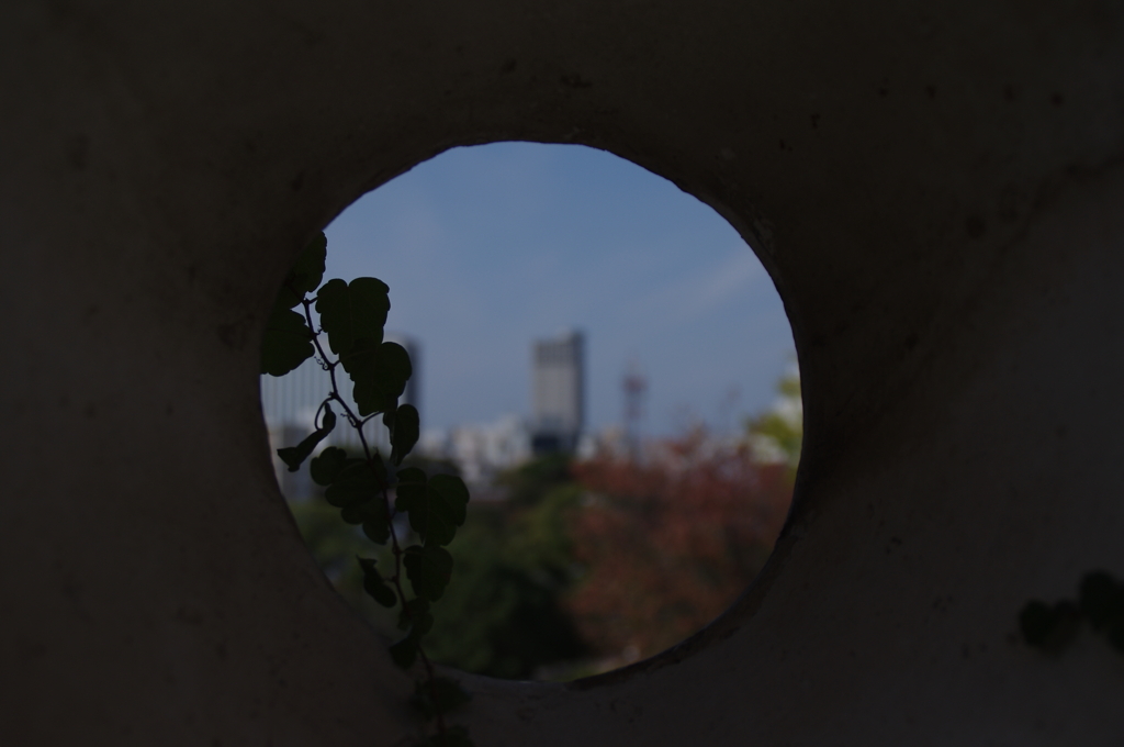 城壁から