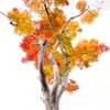 紅葉2012 -part2-