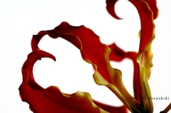 Fire Flower