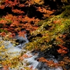 紅葉2012 -part3-