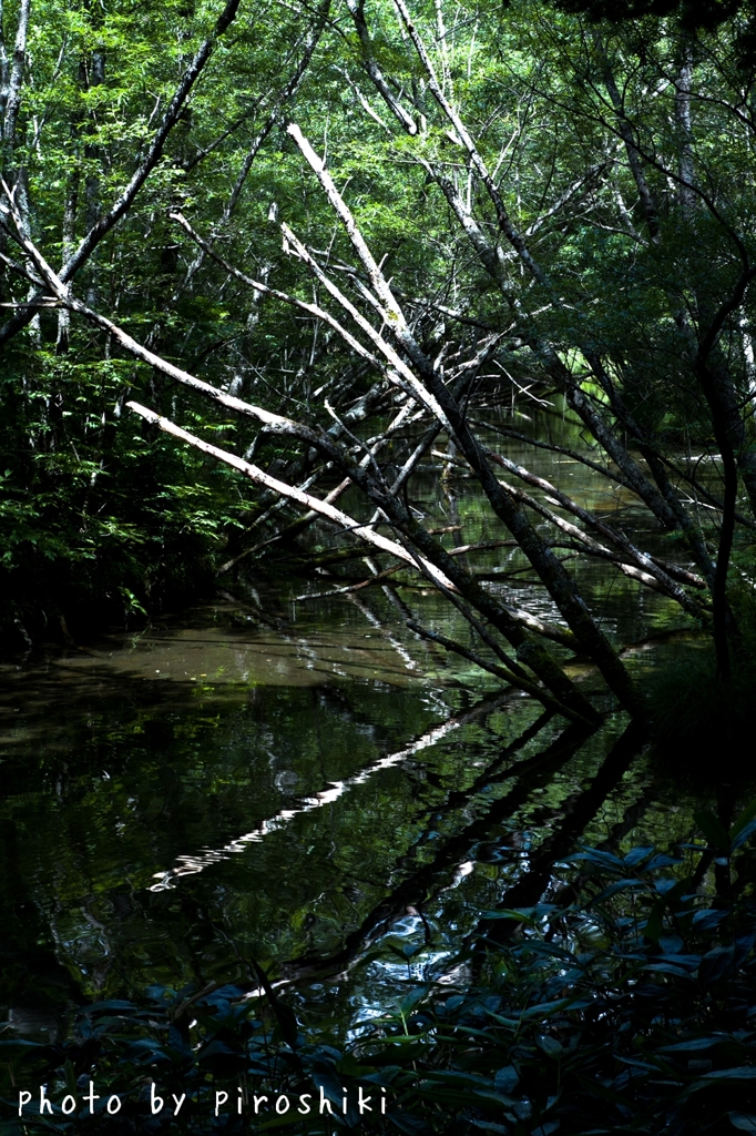 「旅」 -2012.8- part03