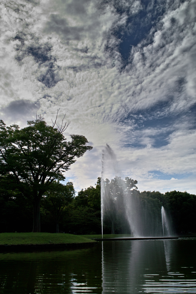 代々木公園