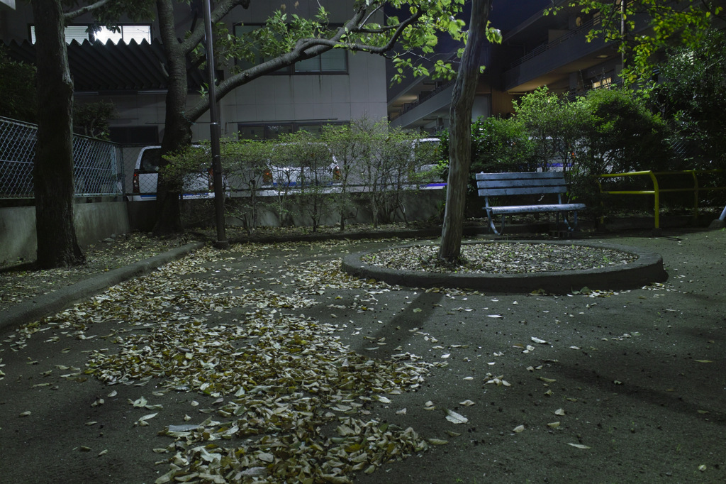 夜の公園