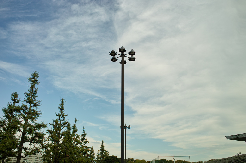 駒沢公園