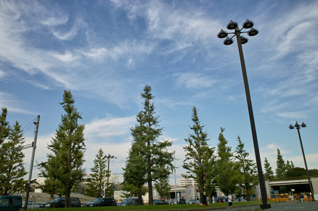 駒沢公園