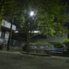 夜の公園