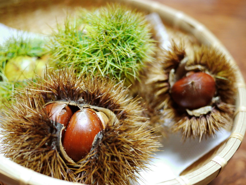 秋の味覚*