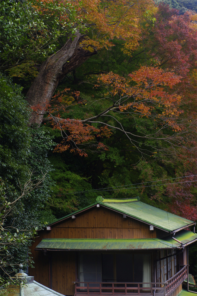 里山の秋景Ⅰ