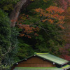 里山の秋景Ⅰ
