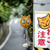 谷根千2