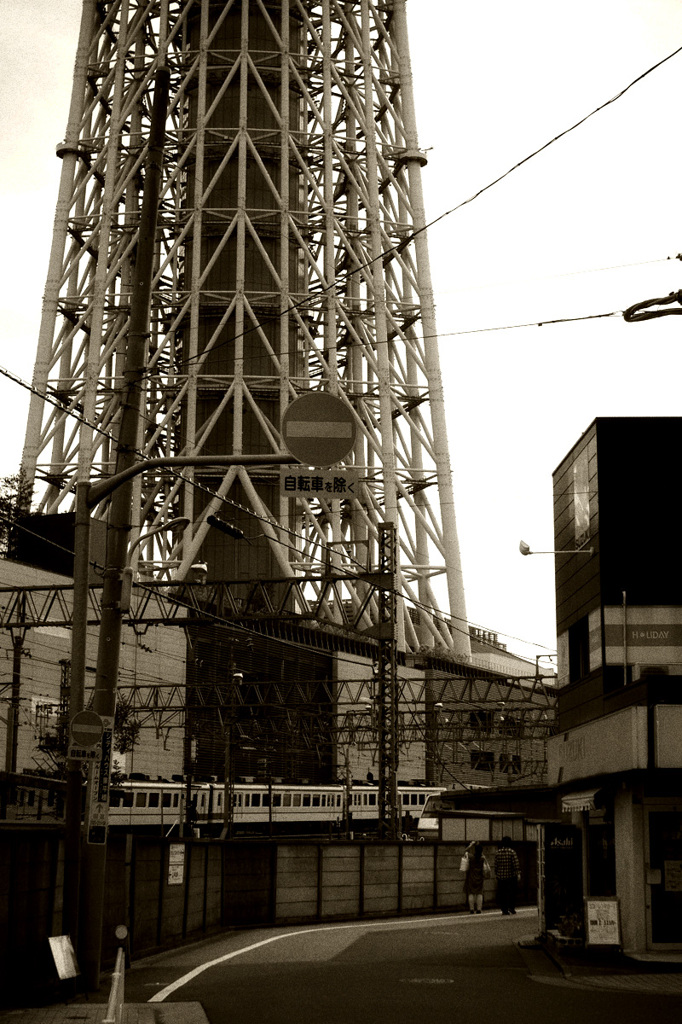 空の樹と古い町 10