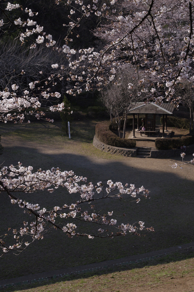 二人の春