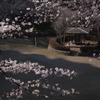 二人の春
