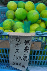 カボス