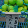 カボス