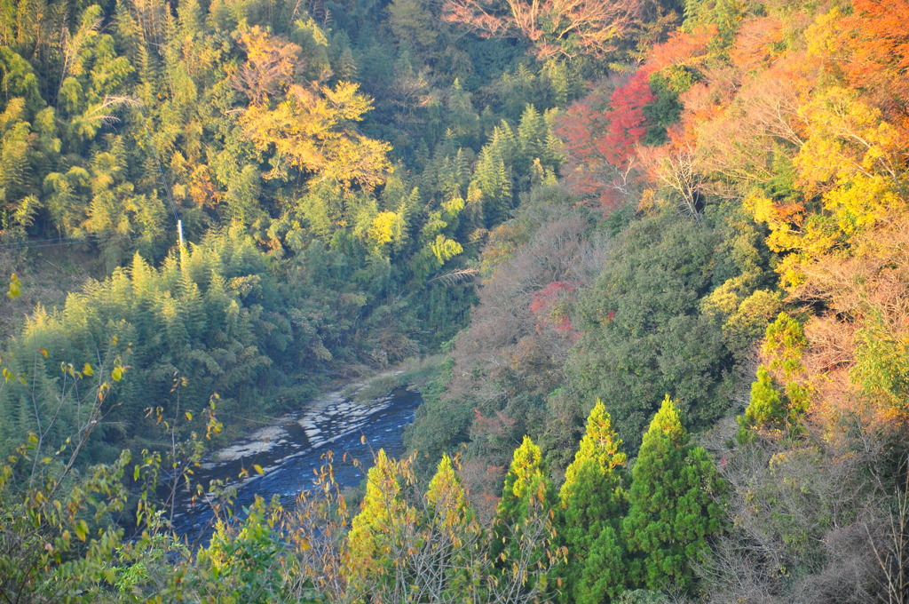 紅葉と川