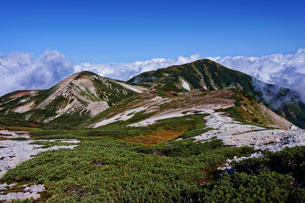 雪倉岳へ