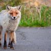 目線　ありがとう☆