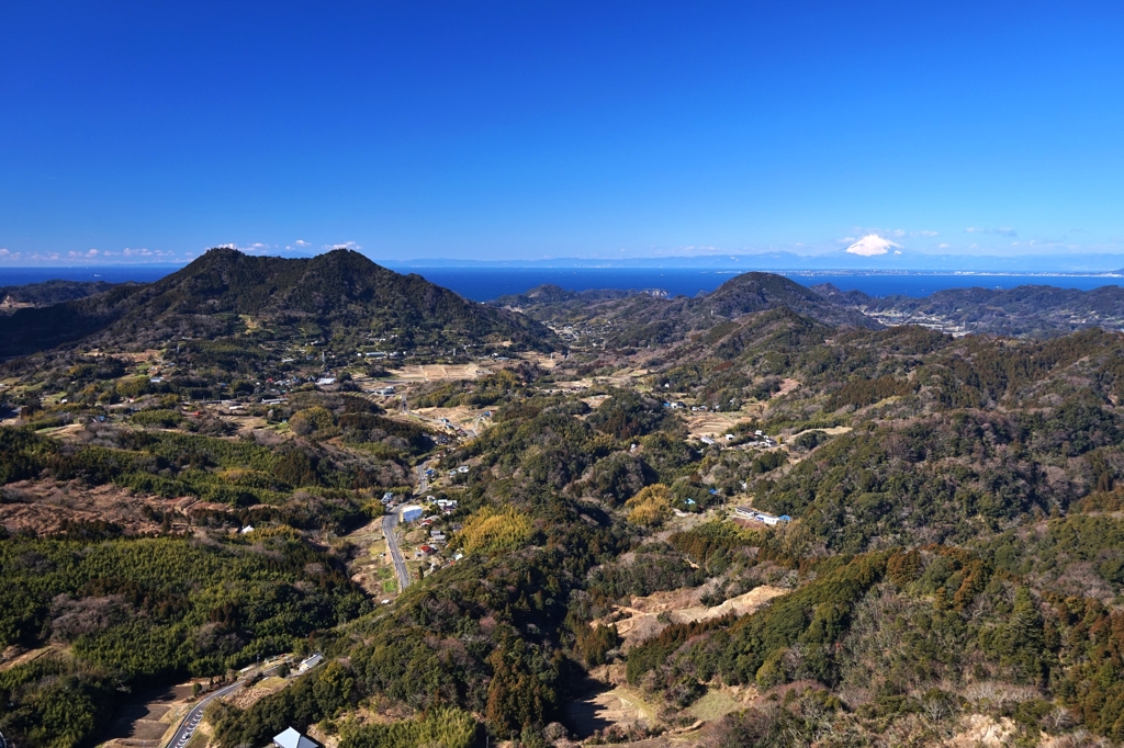 房総の里山