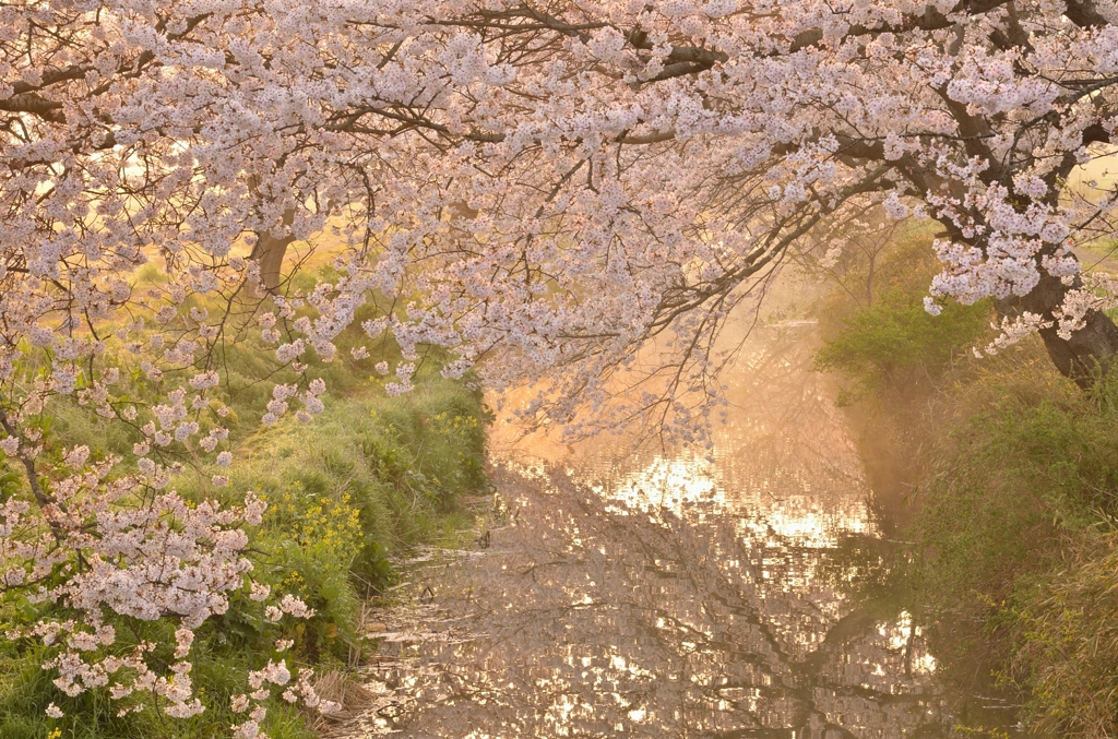 春の小川