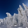 快晴の雪散歩