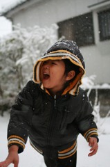 雪団子を我が家に投げつける息子