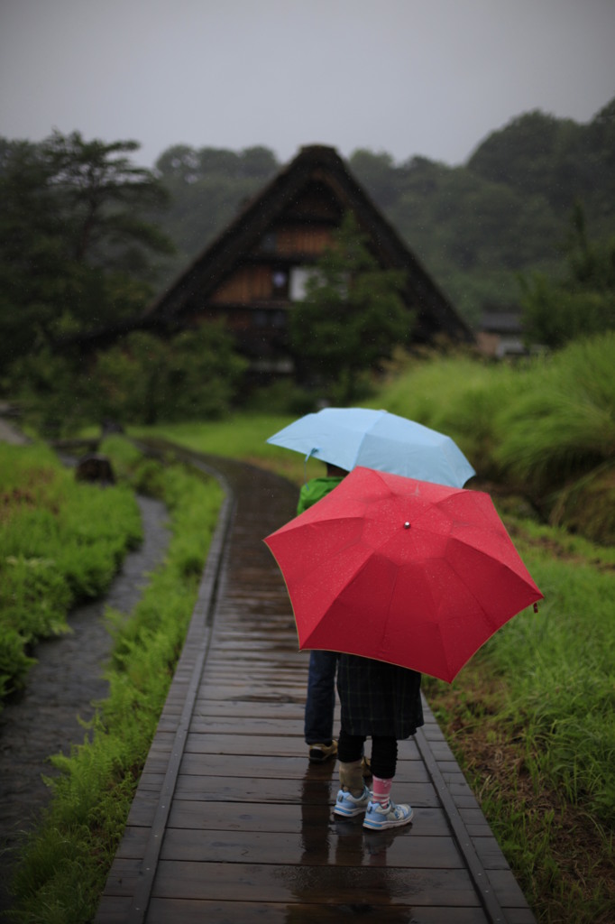 雨の白川郷