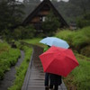 雨の白川郷