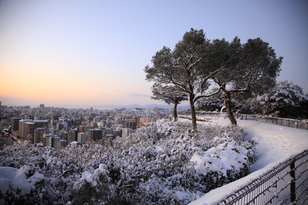 Snow view　[kagoshima city]