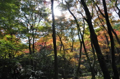祇王寺③