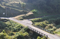 田舎の風景
