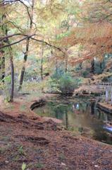 石神井川源流。。