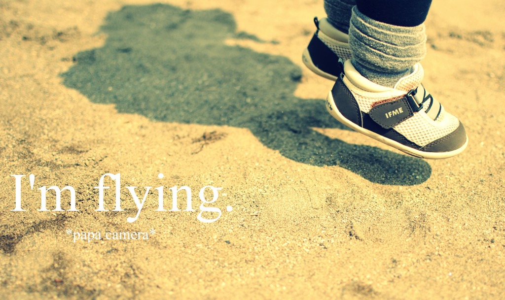 fly