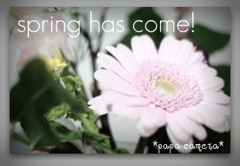 spring has come！