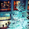 クリスマス
