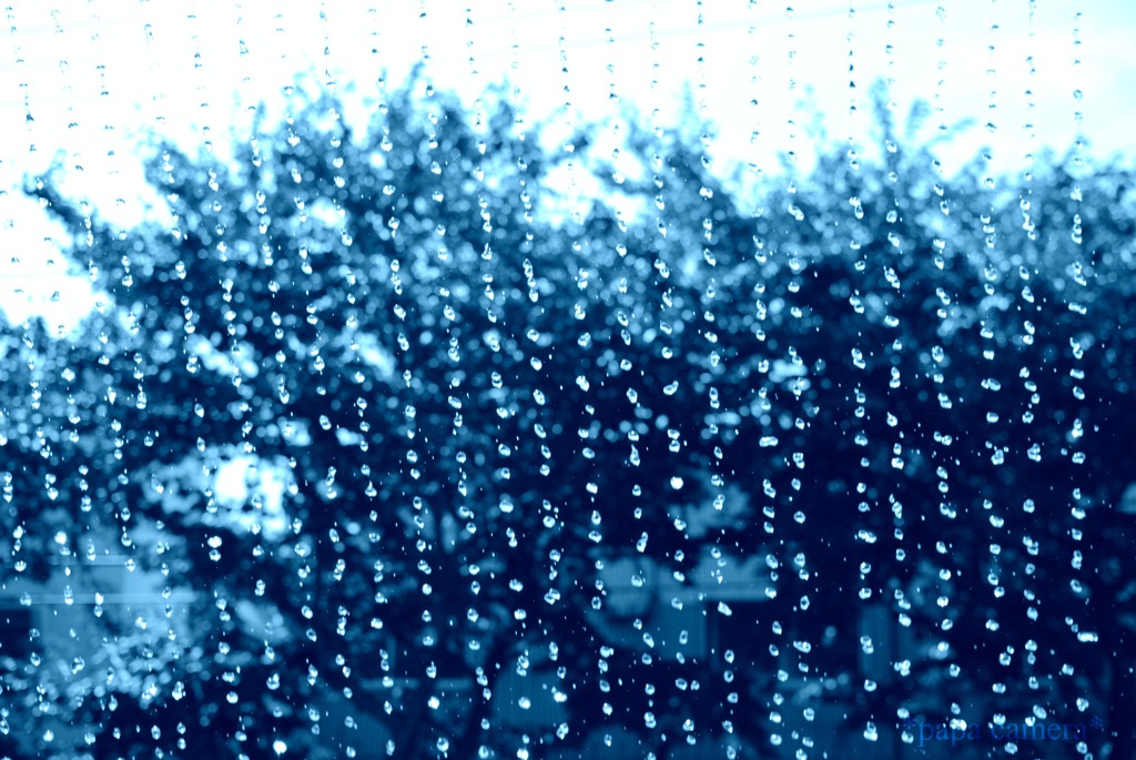 Rain?