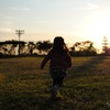 Into the sunset.