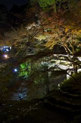 紅葉と橋と小川