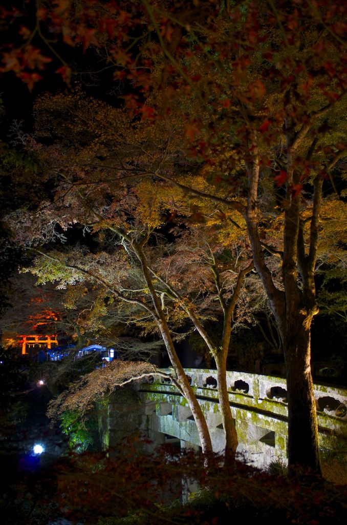 紅葉と橋