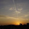 落ちてきた夕日