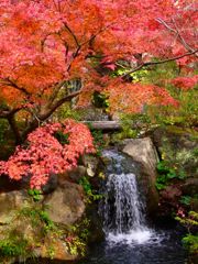 紅葉と小さな滝