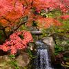 紅葉と小さな滝